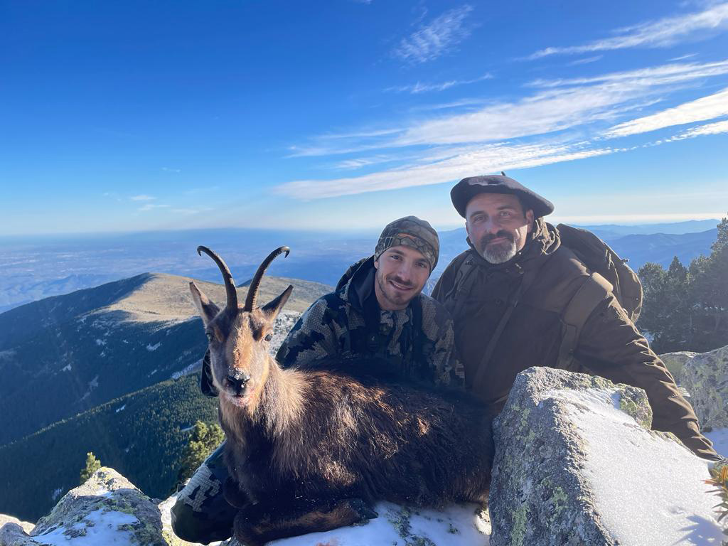 2024 pyrenean chamois november 2023
